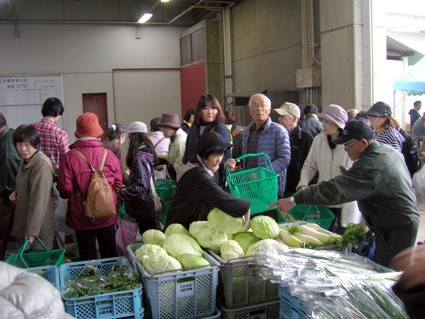 カメラレポート