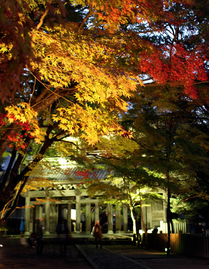 紅葉に染まる1か月