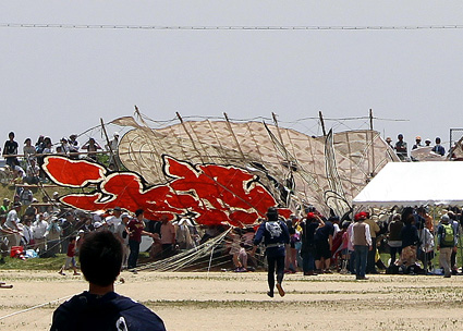 100畳大凧墜落、1人重体3人重軽傷