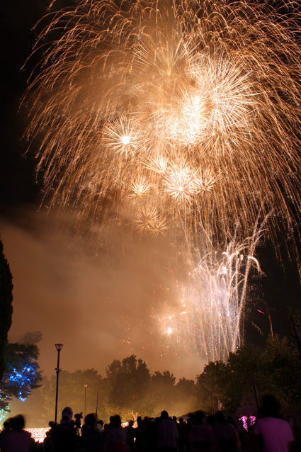 未来へつなげる“電統”