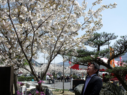 満開の永源寺桜の中で