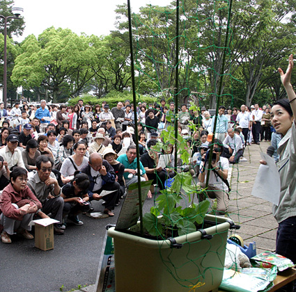 ゴーヤカーテンで日除け 省エネ・市民モニター募集