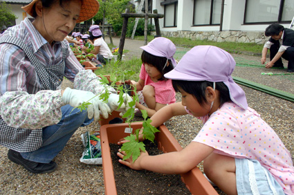 この夏はゴーヤの日陰で 市内最大の緑のカーテン