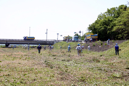 大凧まつり会場で除草奉仕
