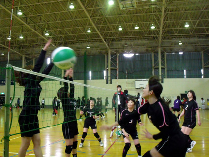 県内外87チームが熱戦 「第15回親善大会」