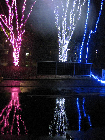 電気代ゼロ エコ・イルミネーション