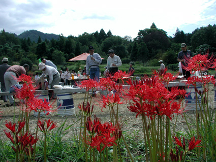 山あいの郷で食を楽しみ話し合う 環境団体「彼岸花フェスタ」