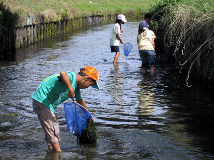 みんなで守ろう、きれいな川 能登博の「川の健康診断」