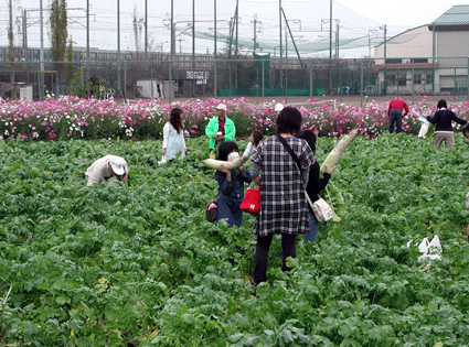 愛荘町の農遊フェスタで交流 農家と消費者が触れ合う