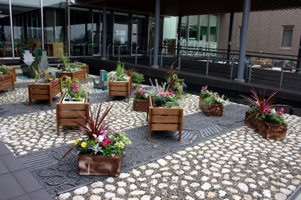 今年もボランティアグループ 心和ませる花が出迎え