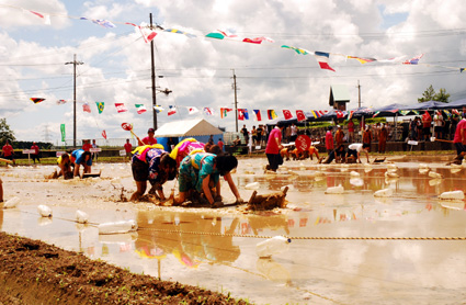 第5回泥カップあいとうレガッ田 真夏の太陽　どろんこバンザイ！