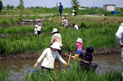 東近江親子環境学習講座 自然、生命に触れ、考える
