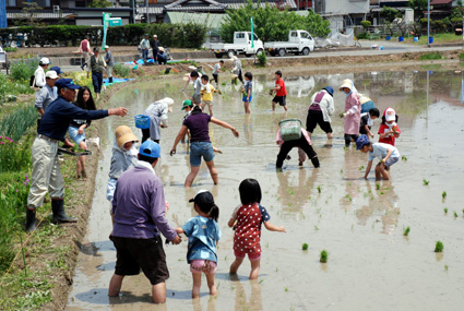 地域の子供は地域で育てよう！ふれあい田植え体験