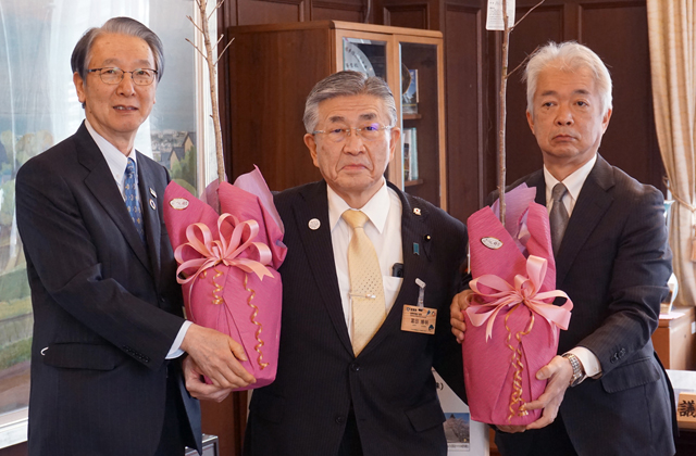 春のさくらを楽しみに