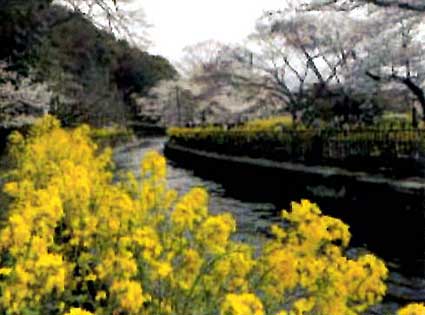 明治の偉業にロマンを馳せる観光船「琵琶湖疎水通船」復活へ