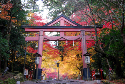 湖都・大津で紅葉イベント
