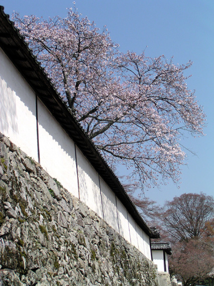 石垣と新緑のまちを訪ねませんか 大津市坂本 「特別拝観 里坊めぐり」