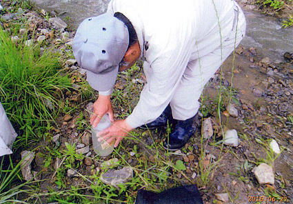 大津市伊香立の野瀬川で