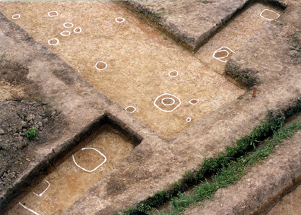 近江国府遺跡東側の建物跡
