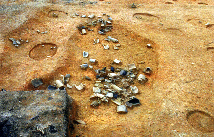 近江国庁関連遺跡「中路遺跡」