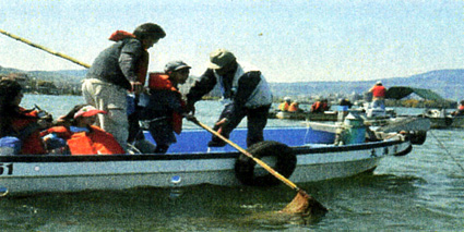 29日、セタシジミ祭 参加者募集中