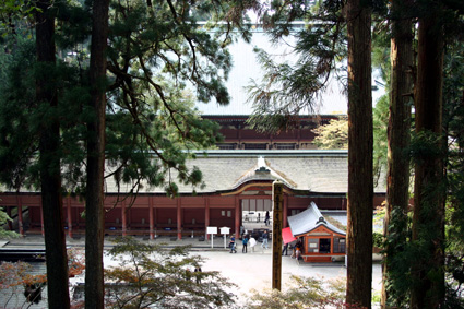 ドライブウェイで自転車競技レース