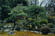 坂本の宝積院庭園 7年ぶりに公開
