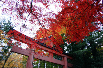 この秋、大津十社寺訪ねて！湖信会の50周年記念事業