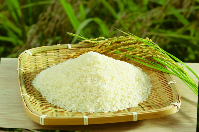 「ここ滋賀」からの“旬”情報