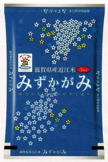近江米「みずかがみ」