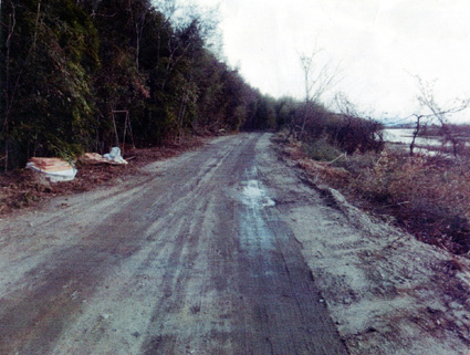 放射性木材チップ不法投棄問題