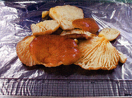 ツキヨタケにご用心!!