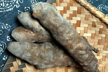 滋賀の重点素材に新たに追加