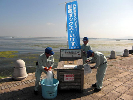 ボックス・いけすからの外来魚回収