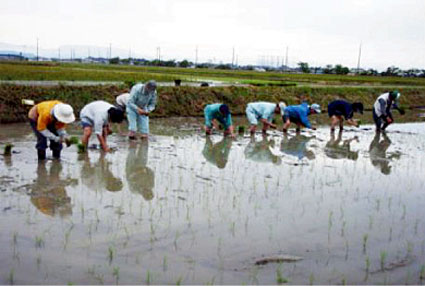 淡海環境保全財団 ヨシ腐葉土を使い