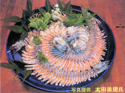 家庭でふな寿しを作ろう！