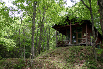 家族で新緑を楽しみませんか 県内各地で自然に親しむ集い