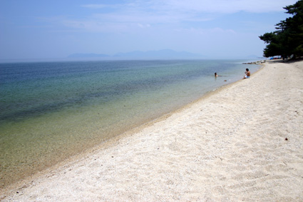 今年の水泳場水質調査