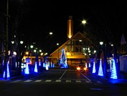 寒気で美しさ際立つ