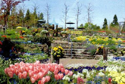 ガーデンミュージアム比叡　18日から今年度の営業