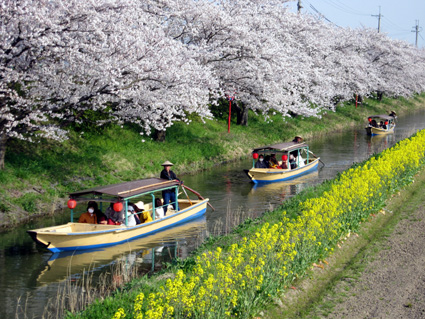 琵琶湖と暮らしが織りなす「水の文化」