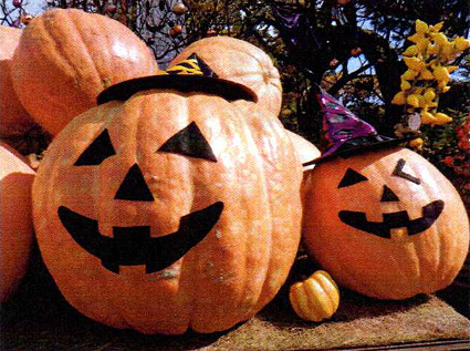 ガーデンミュージアム比叡