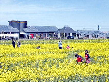新／春／座／談／会／　琵琶湖のためにも原発に頼らない