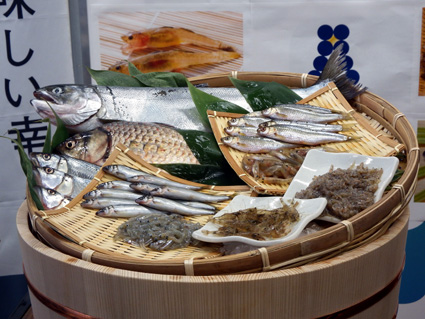 湖魚の「旬」味わって！「琵琶湖八珍」ブランド化へ