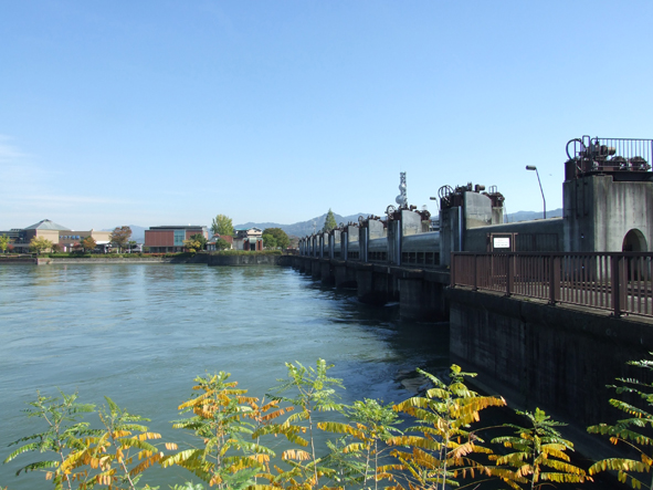 洗堰全閉で大戸川ダム急浮上