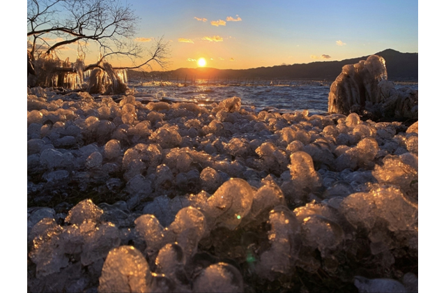しがのフォトコン