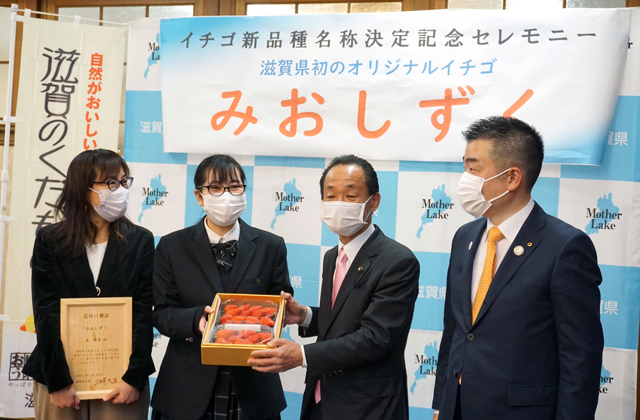 県新品種イチゴ名称「みおしずく」に決定