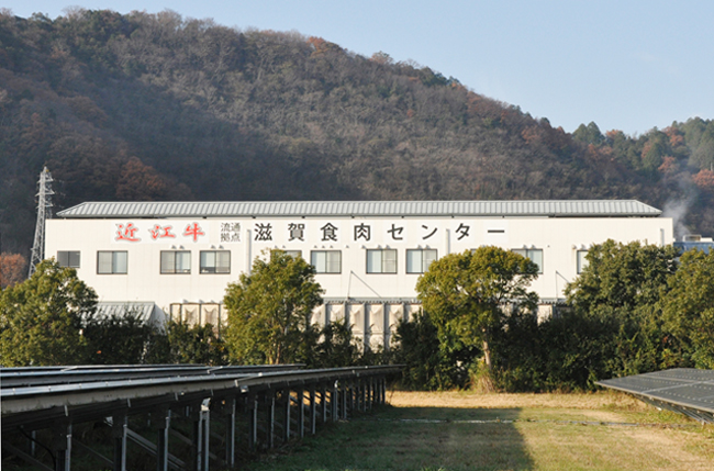 格付員不在で枝肉のセリ中止 滋賀食肉市場で前代未聞の事態