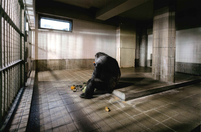 第63回滋賀県写真展覧会