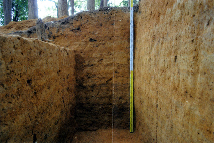 惣山遺跡から検出 奈良期の大規模版築